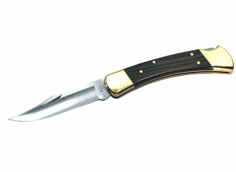 Buck Buck Folding Hunter Knife | Lock Knives