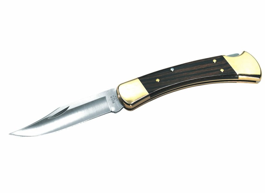 Buck Buck Folding Hunter Knife | Outdoor Knives