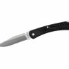 Buck Buck Folding Hunter Slim Knife (Select) - Black | Lock Knives